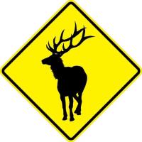 W11-20 - Elk Sign 