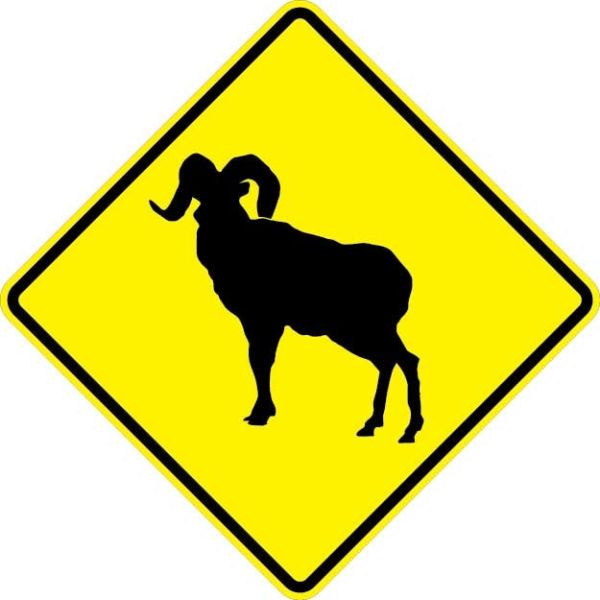 W11-18 - Bighorn Sheep Sign