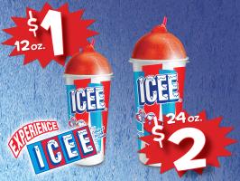 Experience Icee 2 Sizes Picket Sign