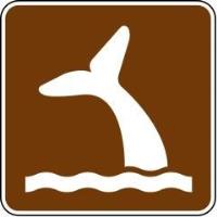 RS-107 - Whale Viewing Signs