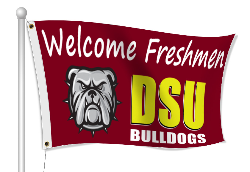 Fabric Flags for College | Banners.com