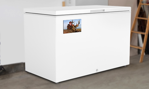 Basement freezer with magnet