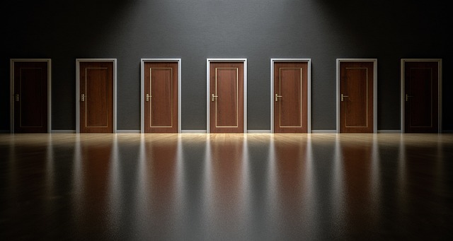 Which door should you choose?