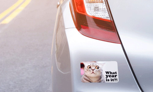 Back bumper of silver sedan. Bumper sticker of a surprised grey striped cat. The text says What Year Is It?