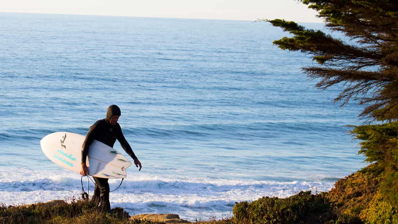 Man carrying surfboard covered in stickers