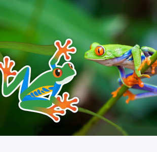 Stickers.com logo and a treefrog