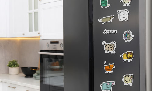 Animal Fridge Magnets