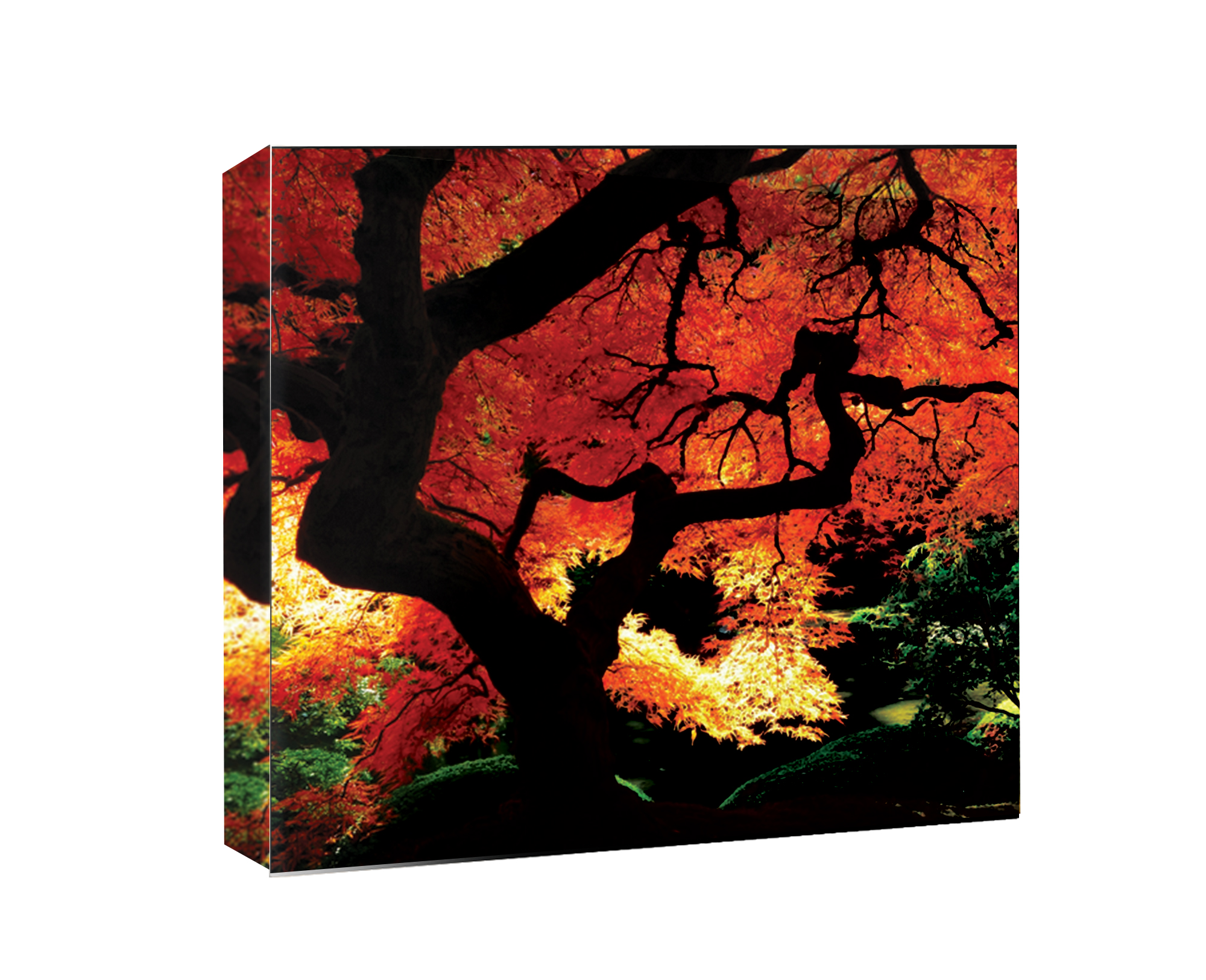 Wholesale Fall Signage | Digital Print Solutions